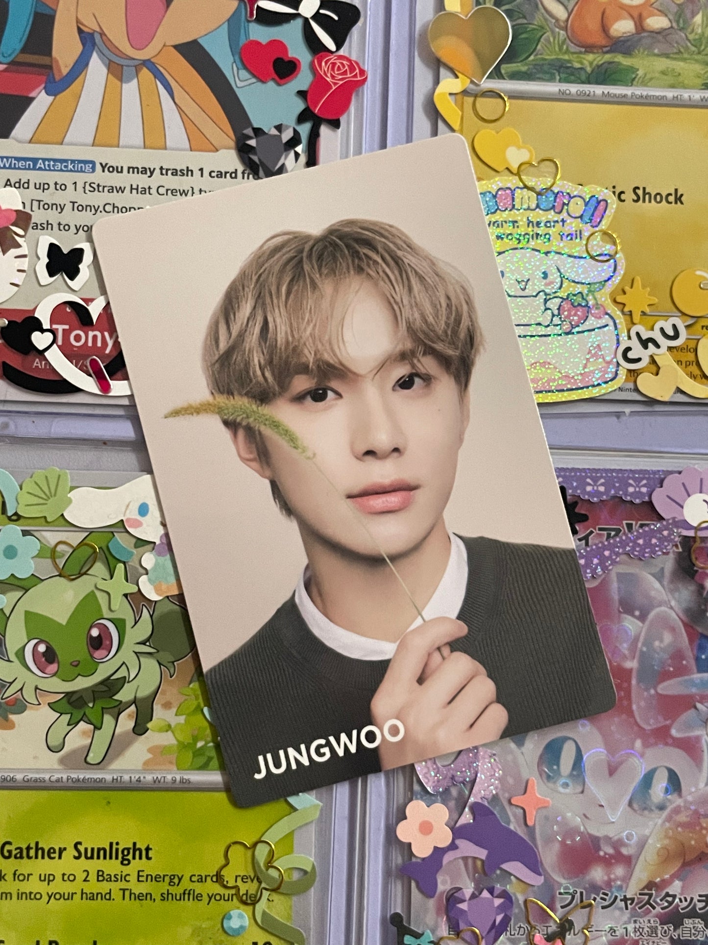 Jungwoo Nature Republic