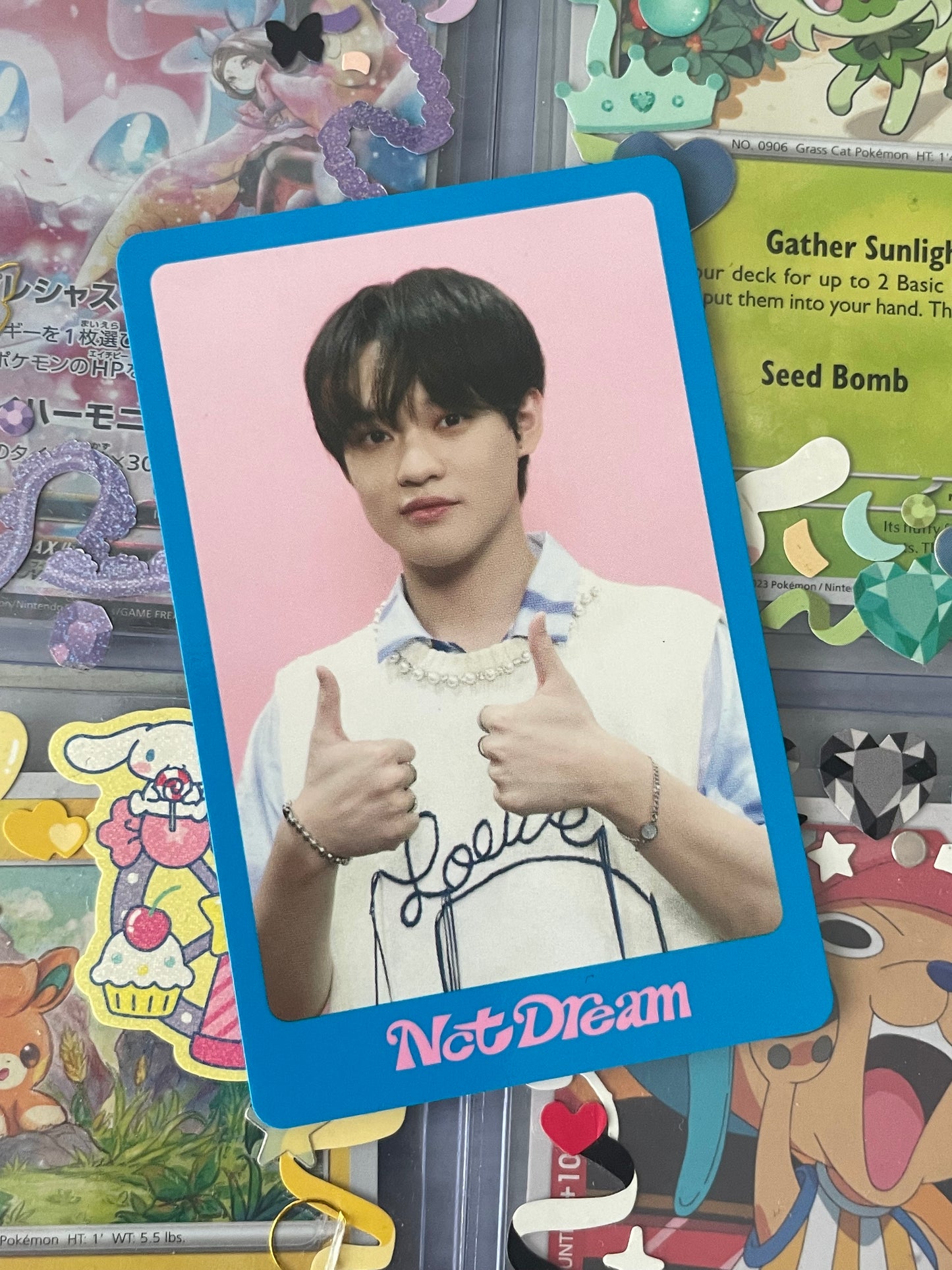 Chenle DICON ID